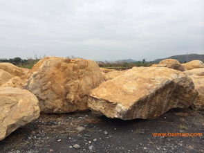 供應(yīng)福建省黃蠟石 風(fēng)景石 園林石 刻字石 太湖石,供應(yīng)福建省黃蠟石 風(fēng)景石 園林石 刻字石 太湖石生產(chǎn)廠家,供應(yīng)福建省黃蠟石 風(fēng)景石 園林石 刻字石 太湖石價格